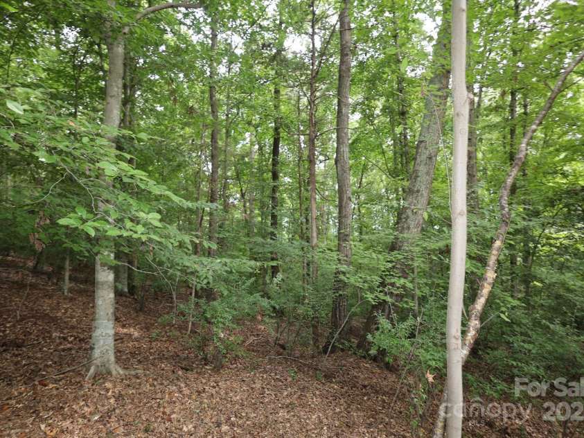 7010 Rock Island Road, Charlotte, NC 28278.  MLS# CAR4295438, YatesRealty ID 9685. 