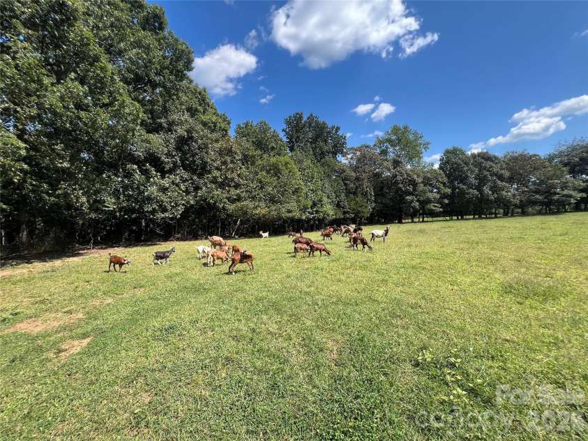 1301 Double Springs Church Road, Shelby, NC 28150.  MLS# CAR4301776, YatesRealty ID 9697. 