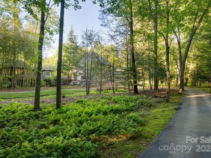 268 Holly Arbor Lane, Asheville, NC 28803.  MLS# CAR4268471, YatesRealty ID 97. Fern covered forest areas provide a shady stroll.