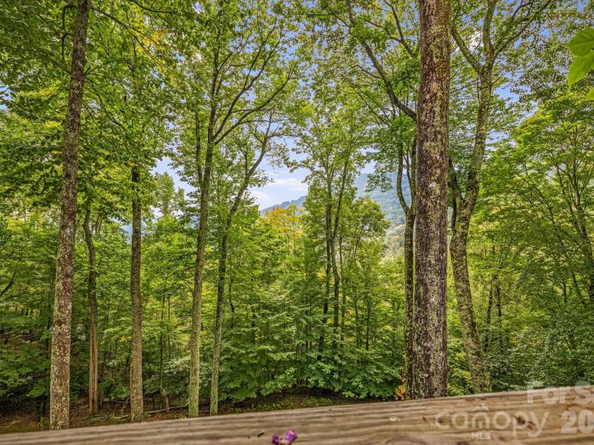 215 Goldenleaf Road, Mars Hill, NC 28754.  MLS# CAR4356364, YatesRealty ID 9718. Close Mtn Views and Yard