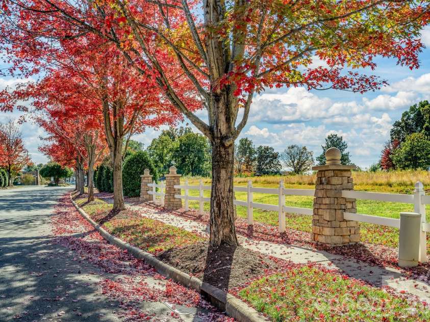 159 Water Oak Drive, Mooresville, NC 28117.  MLS# CAR4354862, YatesRealty ID 9758. 