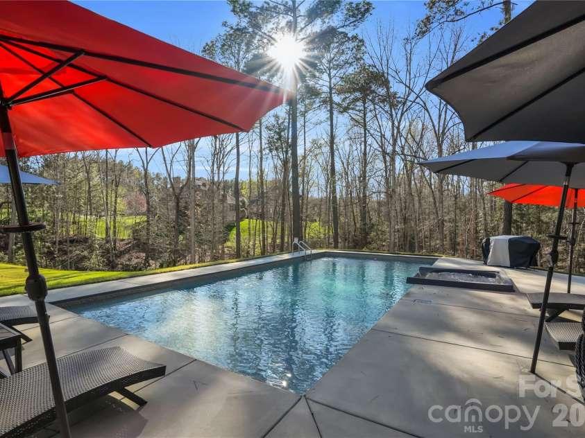 220 Palm Cove Way, York, SC 29745.  MLS# CAR4359684, YatesRealty ID 9759. Pool