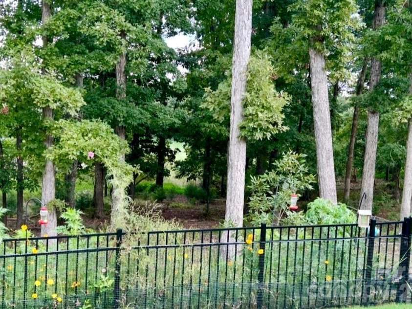 479 Shallowford Drive, Rock Hill, SC 29732.  MLS# CAR4353877, YatesRealty ID 9765. View of Backyard in Summertime