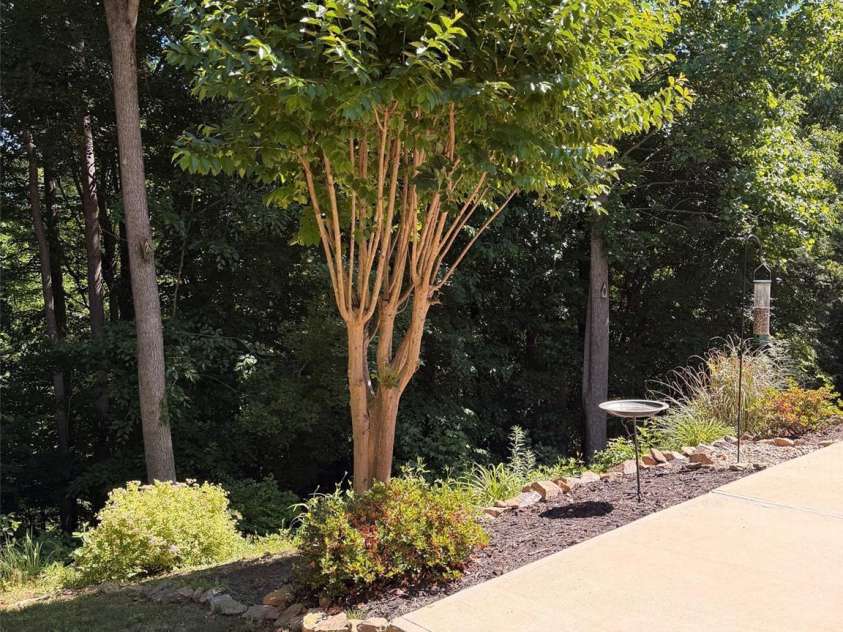 4873 Samuel Pinckney Drive, Belmont, NC 28012.  MLS# CAR4364374, YatesRealty ID 9774. 