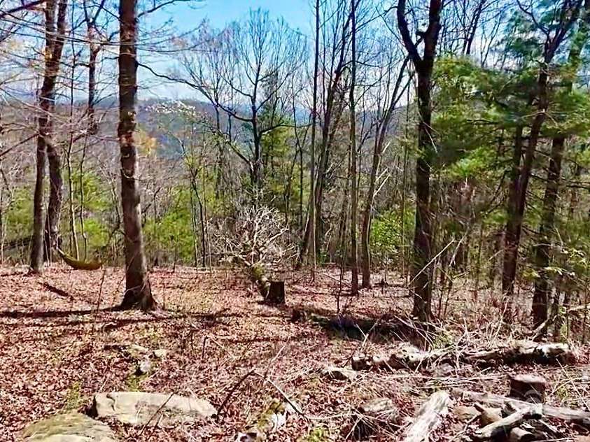 830 Fortescue Road, Zirconia, NC 28790.  MLS# CAR4232799, YatesRealty ID 9801. 