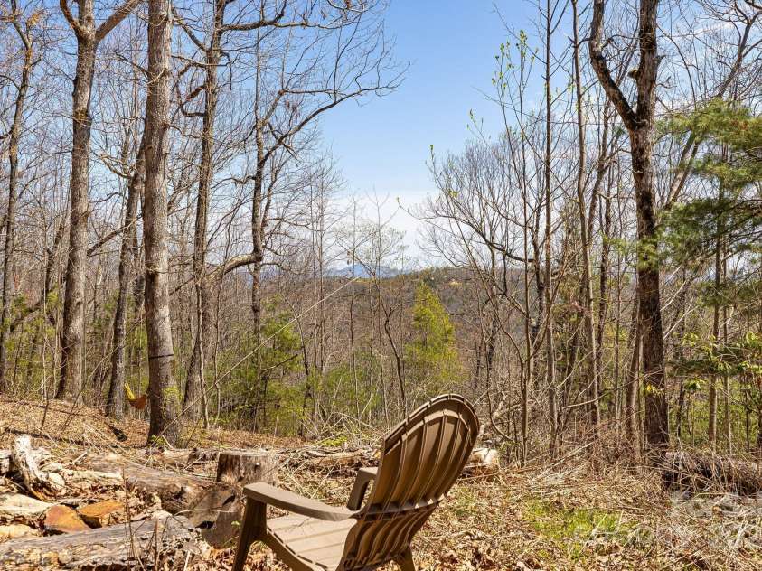 830 Fortescue Road, Zirconia, NC 28790.  MLS# CAR4232799, YatesRealty ID 9801. 