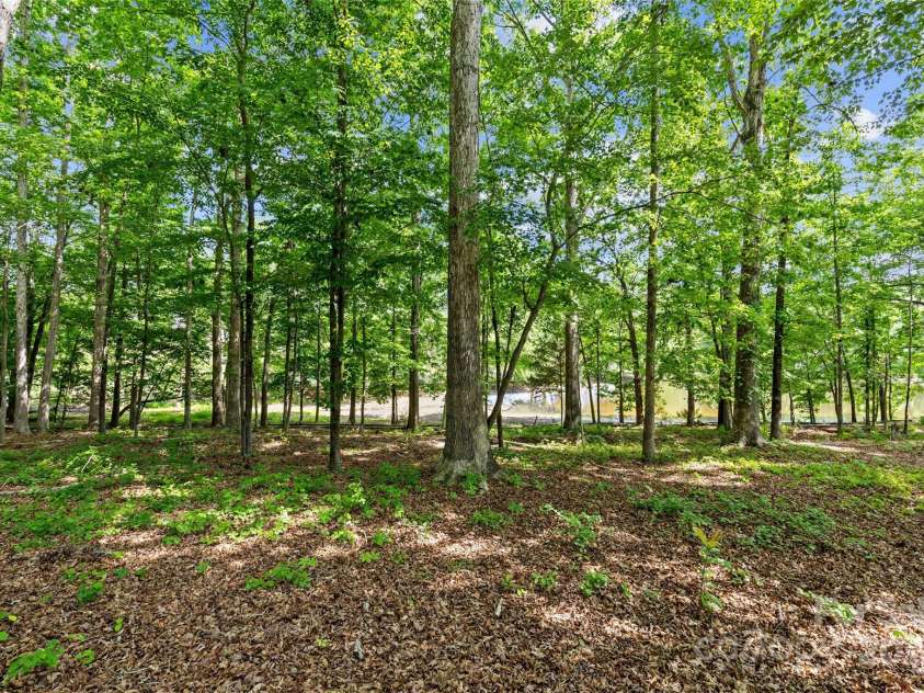 907 Lingfield Lane, Waxhaw, NC 28173.  MLS# CAR4253267, YatesRealty ID 9837. 