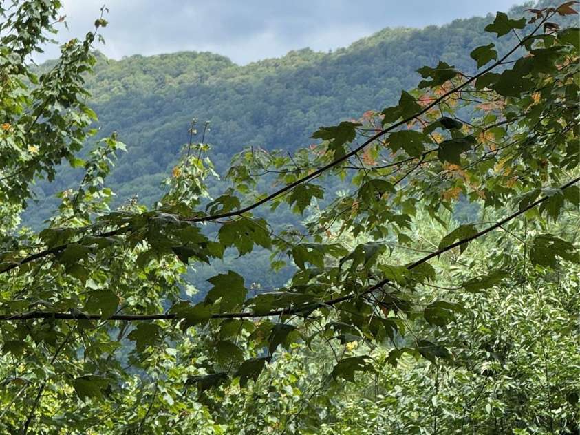 175 Ridgeview Road, Sugar Mountain, NC 28604.  MLS# CAR4300479, YatesRealty ID 984. 