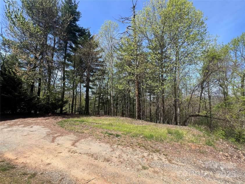 343 Daytona Lane, Saluda, NC 28773.  MLS# CAR4253857, YatesRealty ID 9858. Driveway and Front Yard