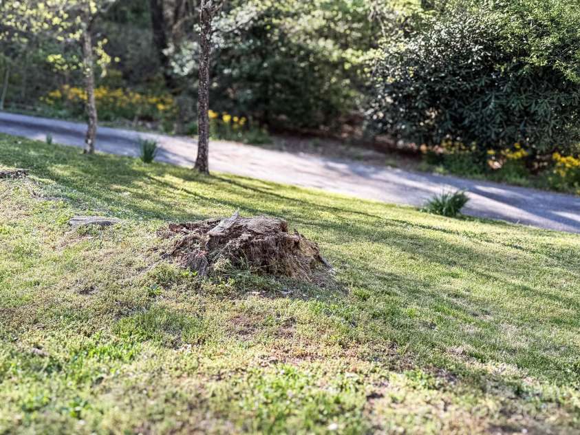 25 Pisgah Shadows Way, Hendersonville, NC 28739.  MLS# CAR4206550, YatesRealty ID 9897. 