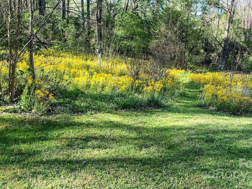 25 Pisgah Shadows Way, Hendersonville, NC 28739.  MLS# CAR4206550, YatesRealty ID 9897. Backyard