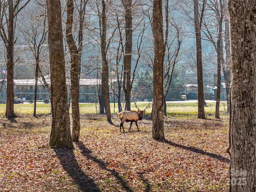 74 Badd Lane, Maggie Valley, NC 28751.  MLS# CAR4314293, YatesRealty ID 9901. 