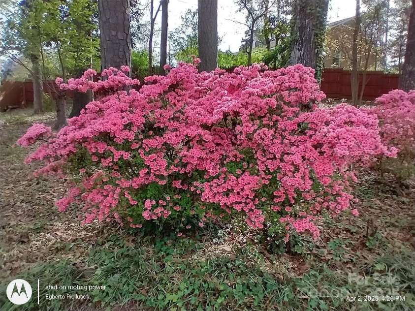 515 Pine Lane, Wadesboro, NC 28170.  MLS# CAR4216873, YatesRealty ID 9962. 