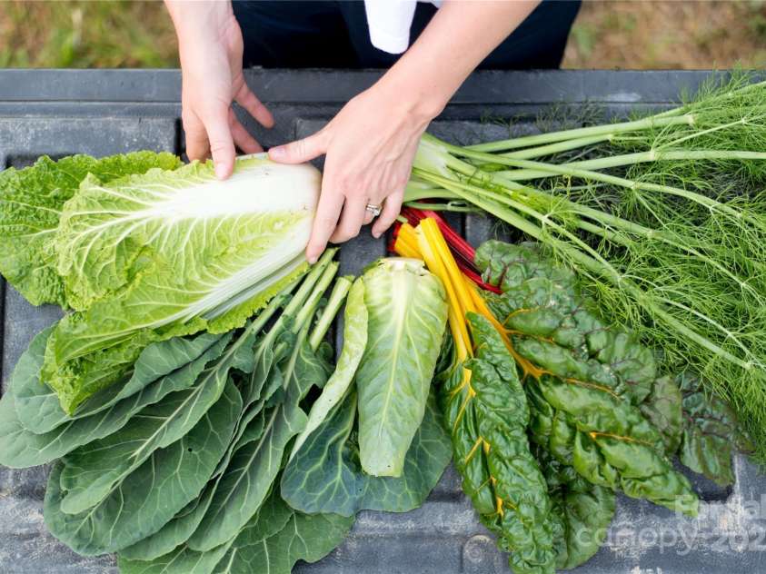 202 Westridge Farm Road, Asheville, NC 28804.  MLS# CAR4312762, YatesRealty ID 997. CSA harvests and seasonal produce grown steps from your front door