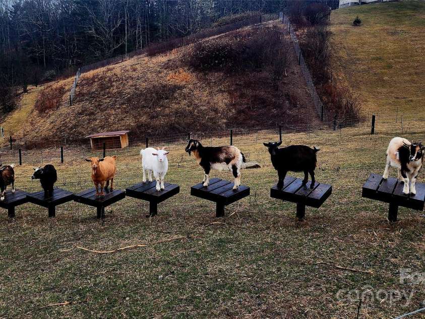 202 Westridge Farm Road, Asheville, NC 28804.  MLS# CAR4312762, YatesRealty ID 997. Vibrant farm programming including tailgate markets and seasonal events