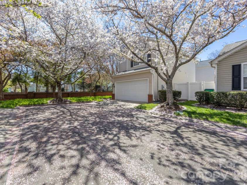 9314 Meadowmont View Drive, Charlotte, NC 28269.  MLS# CAR4360345, YatesRealty ID 9971. Beautiful tree-lined street