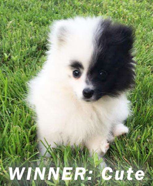 Cute: Kimberly Goodrum! Cute: Kimberly Goodrum!